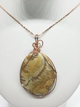 Load image into Gallery viewer, Owyhee Picture Jasper