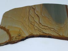 Load image into Gallery viewer, Owyhee picture jasper